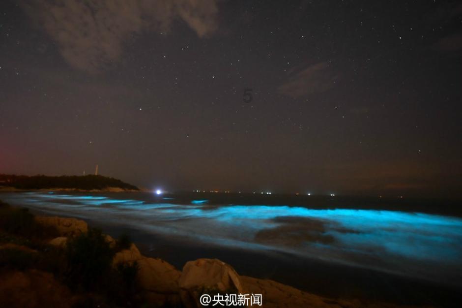 白带的清洁度四度？游戏画面
